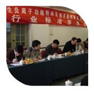 2006年3月10日，“產(chǎn)生負(fù)離子功能粉體及相關(guān)建材制品測試方法”行業(yè)標(biāo)準(zhǔn)審查會(huì)在北京召開。